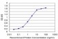CCL3 Antibody (monoclonal) (M01)